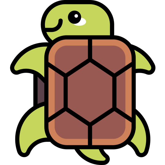 turtle